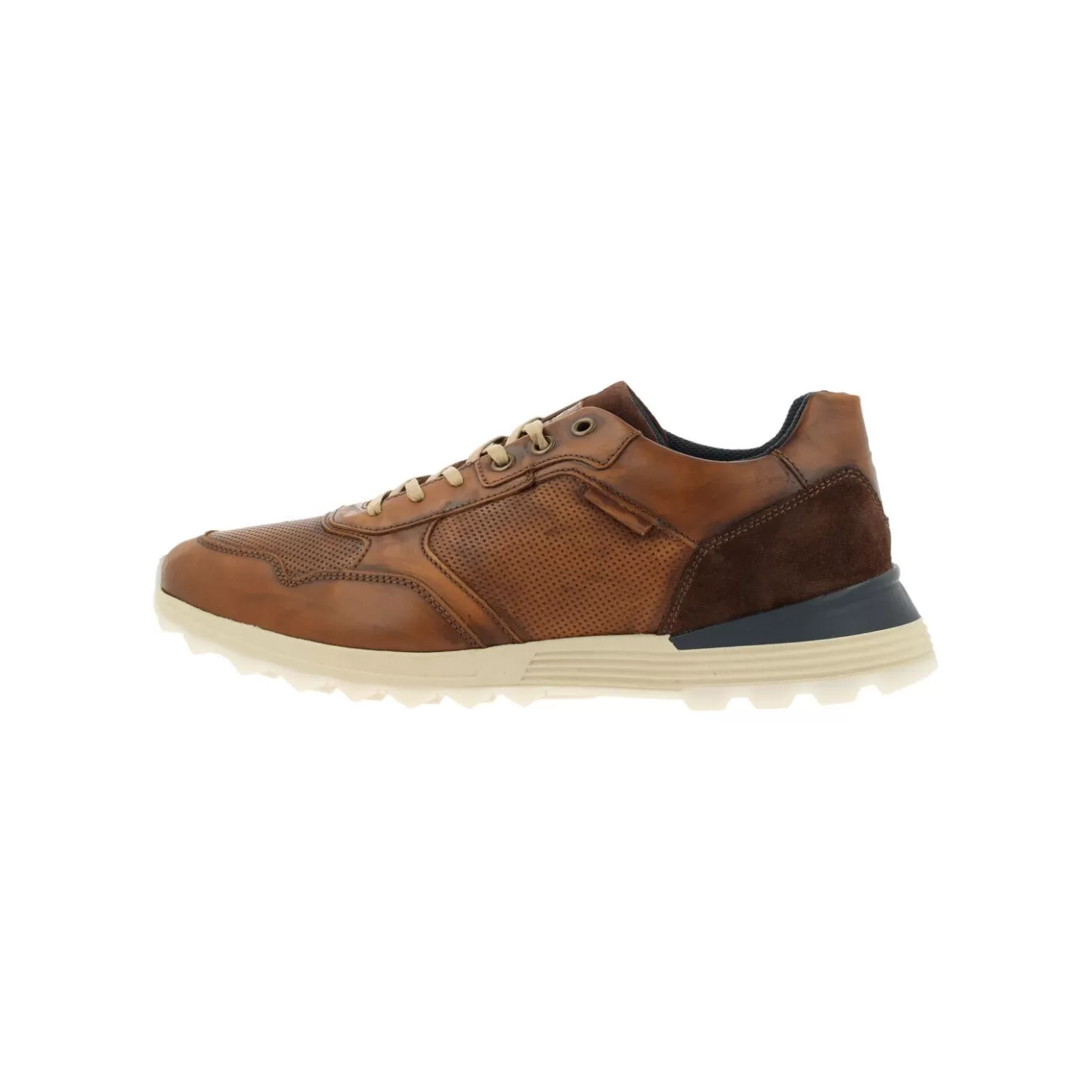 New Sneaker Tan/Cognac 373K20438Awcbnsu Men Sneaker Low